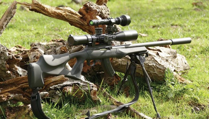 Custom Ruger 10/22