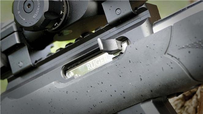 Custom Ruger 10/22 - image {image:count}