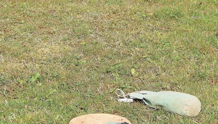 Dummies for Dog Training - image {image:count}