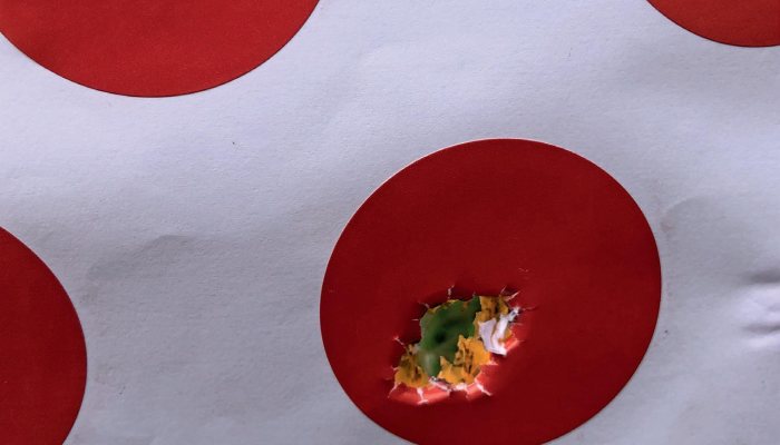 Browning X Bolt Max SF Varmint - image {image:count}