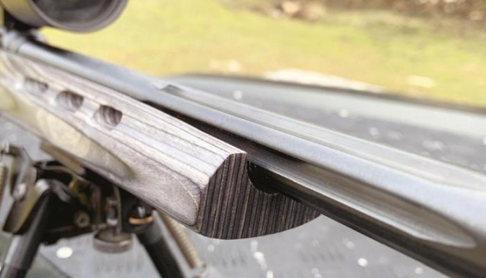 Savage A22 Target Thumbhole - image {image:count}