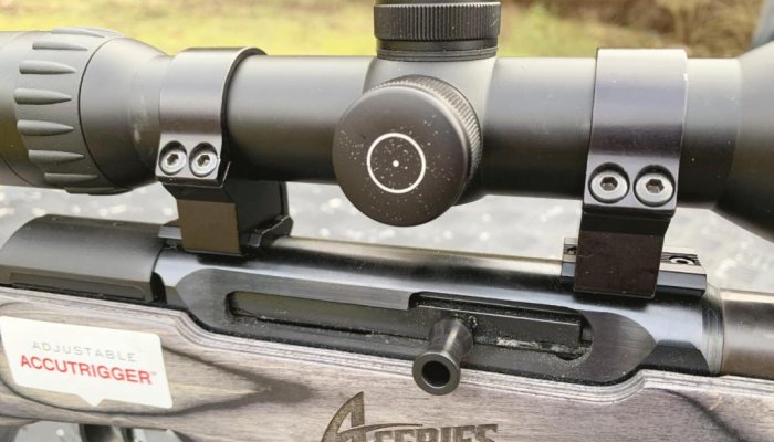 Savage A22 Target Thumbhole - image {image:count}