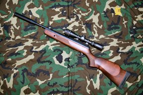 BSA Lightning - image {image:count}