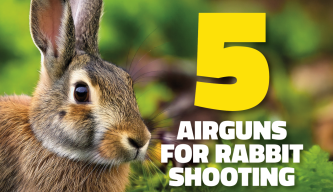 5 Airguns  for Rabbit Shooting